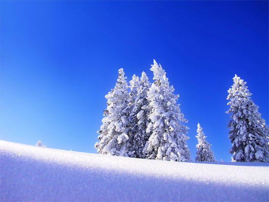 Beautiful Photographs of Winter (138)