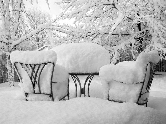 Beautiful Photographs of Winter (115)