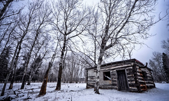 Beautiful Photographs of Winter (114)