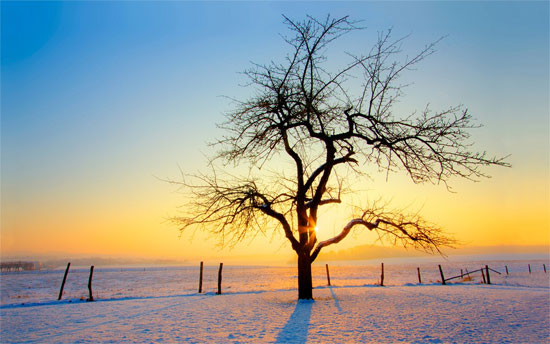 Beautiful Photographs of Winter (111)