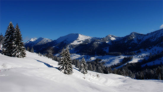 Beautiful Photographs of Winter (113)