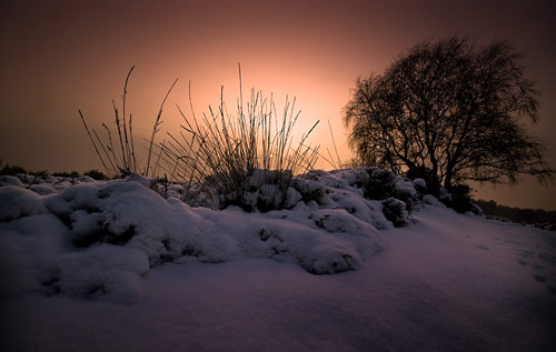 Beautiful Photographs of Winter (75)