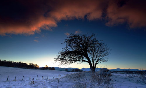 Beautiful Photographs of Winter (73)