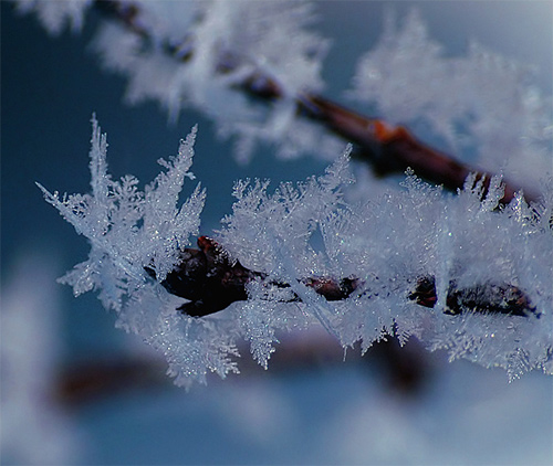 Beautiful Photographs of Winter (97)