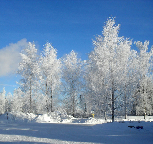 Beautiful Photographs of Winter (96)