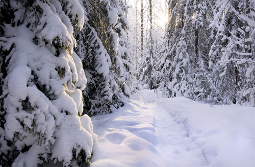 Beautiful Photographs of Winter (93)