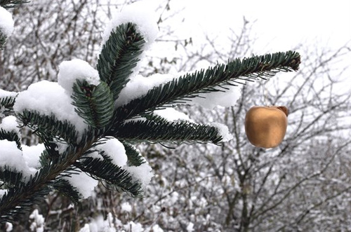 Beautiful Photographs of Winter (92)
