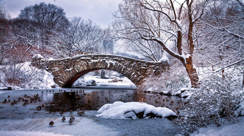 Beautiful Photographs of Winter (65)