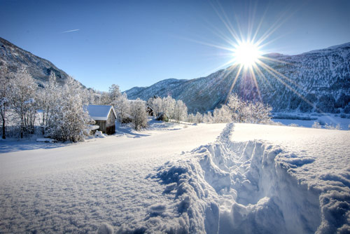 Beautiful Photographs of Winter (63)