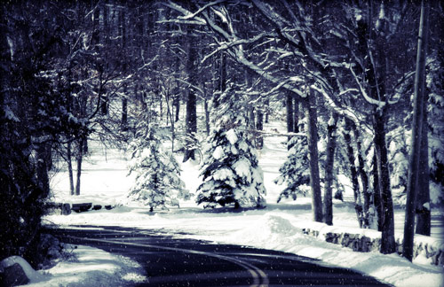 Beautiful Photographs of Winter (62)