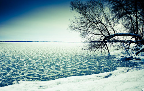 Beautiful Photographs of Winter (61)