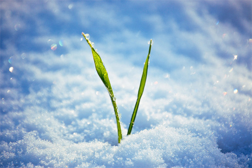 Beautiful Photographs of Winter (88)