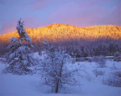 Beautiful Photographs of Winter (87)