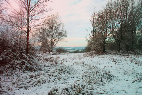 Beautiful Photographs of Winter (86)