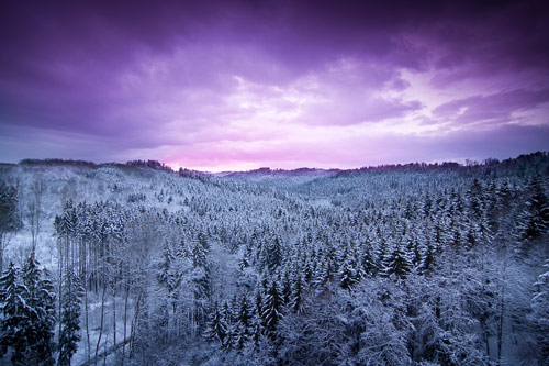Beautiful Photographs of Winter (59)