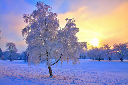 Beautiful Photographs of Winter (58)