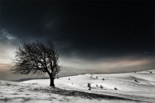 Beautiful Photographs of Winter (84)