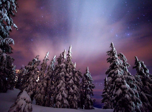 Beautiful Photographs of Winter (57)