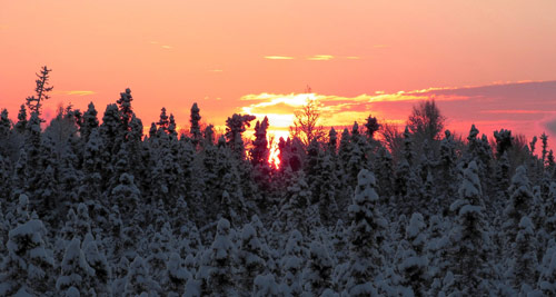 Beautiful Photographs of Winter (52)