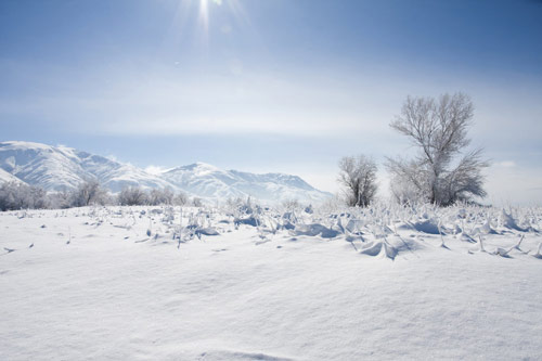 Beautiful Photographs of Winter (51)
