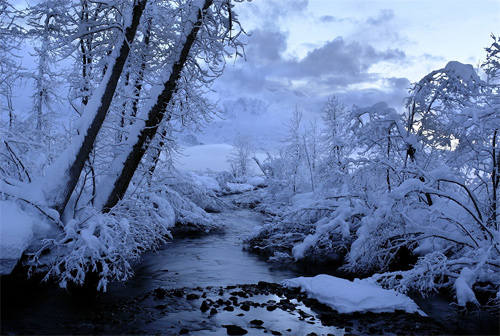 Beautiful Photographs of Winter (108)