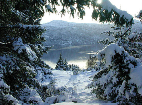 Beautiful Photographs of Winter (107)
