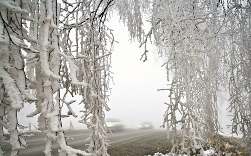 Beautiful Photographs of Winter (80)