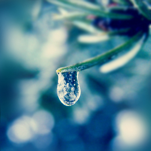 Beautiful Photographs of Winter (104)