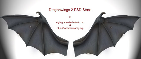 Dragon Wings PSD-Stock