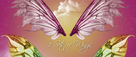 Fairy Wings 1 PSD file