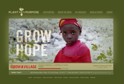 Non Profit Organisations On The Web