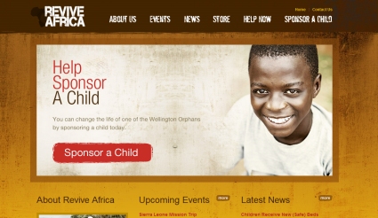 Non Profit Organisations On The Web