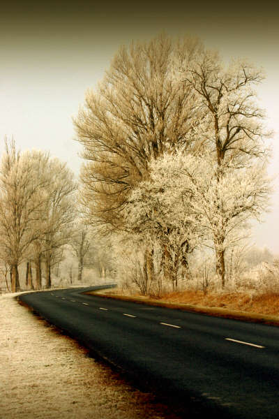 Beautiful Photographs of Winter (14)