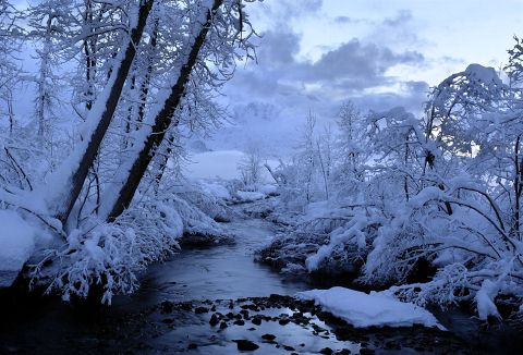 Beautiful Photographs of Winter (17)