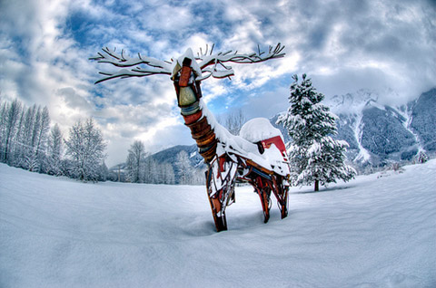 Beautiful Photographs of Winter (12)