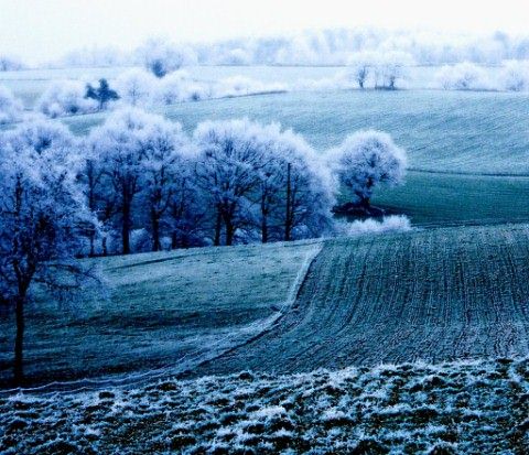 Beautiful Photographs of Winter (44)