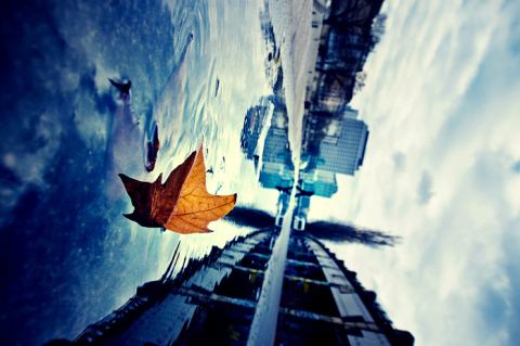 Beautiful Photographs of Winter (48)
