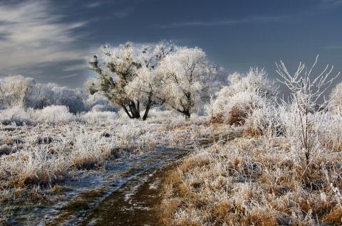 Beautiful Photographs of Winter (22)