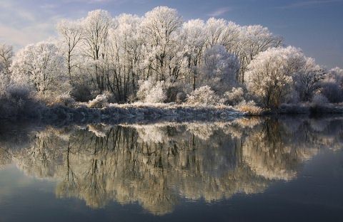 Beautiful Photographs of Winter (21)