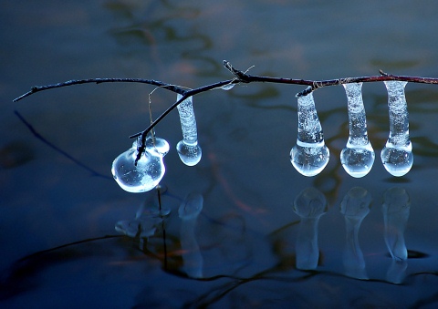 Beautiful Photographs of Winter (47)