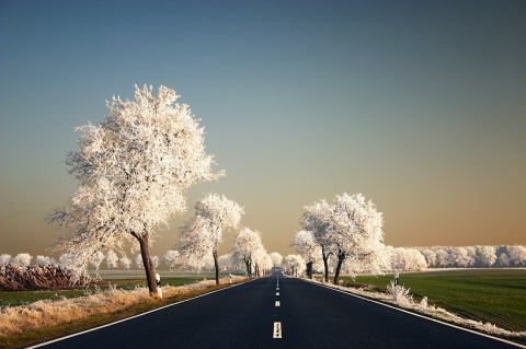 Beautiful Photographs of Winter (49)