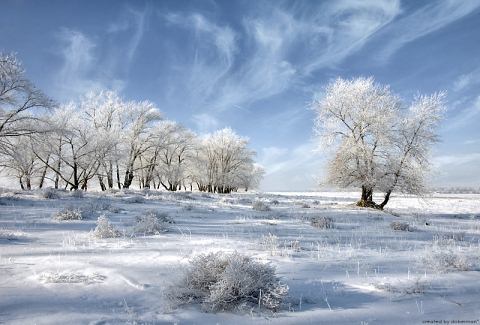 Beautiful Photographs of Winter (6)