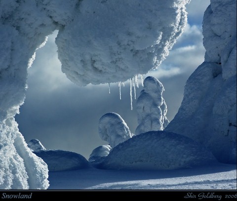Beautiful Photographs of Winter (24)