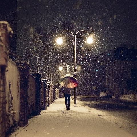 Beautiful Photographs of Winter (10)