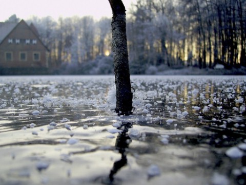 Beautiful Photographs of Winter (45)