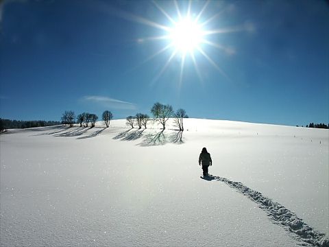 Beautiful Photographs of Winter (29)