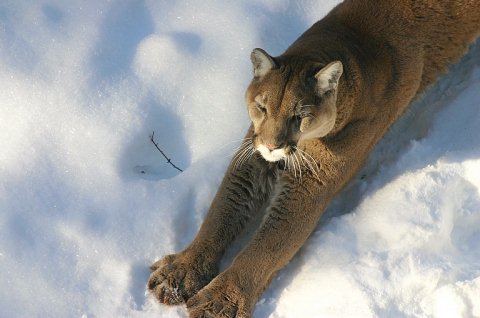 Beautiful Photographs of Winter (28)