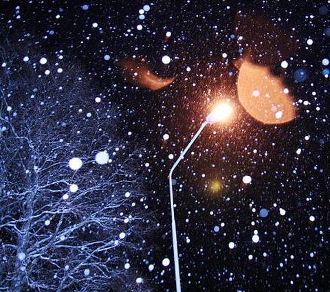 Beautiful Photographs of Winter (35)