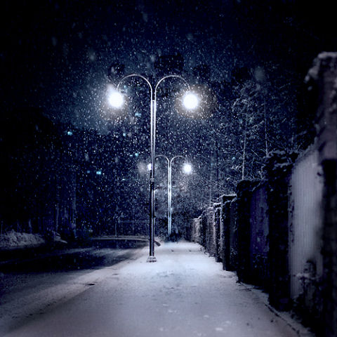 Beautiful Photographs of Winter (34)