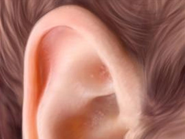 Paint Realistic Ears